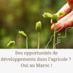 Des opportunités de développements dans l’agricole ?  Oui au Maroc !