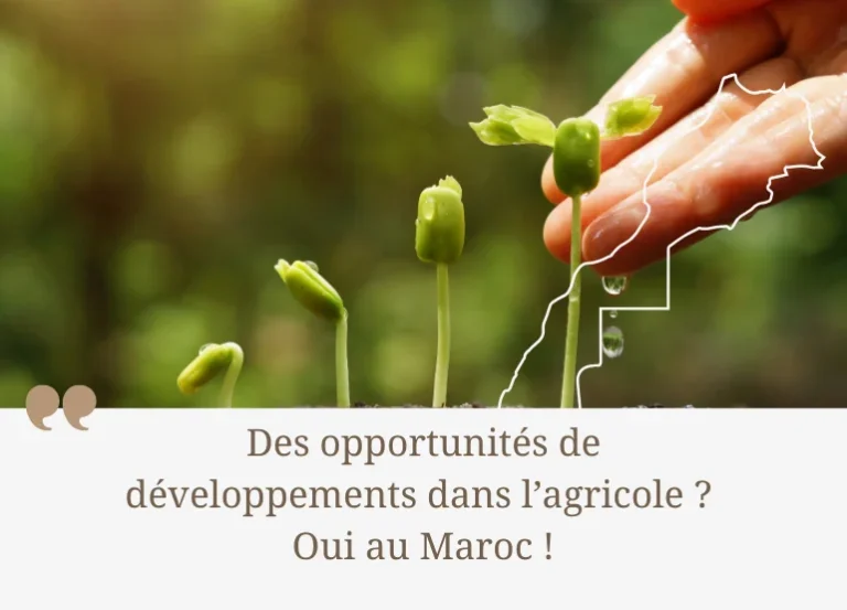 Des opportunités de développements dans l’agricole ?  Oui au Maroc !